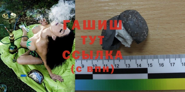 гидра Заводоуковск