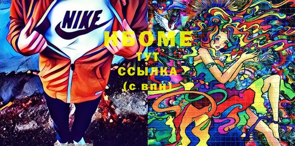 гидра Заводоуковск