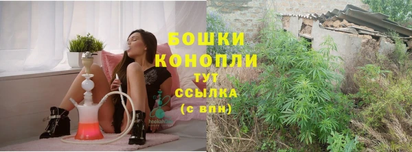 гидра Заводоуковск