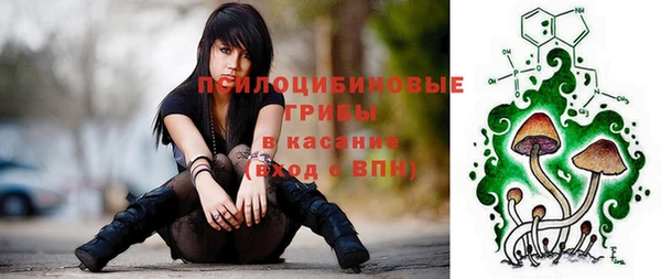 гидра Заводоуковск