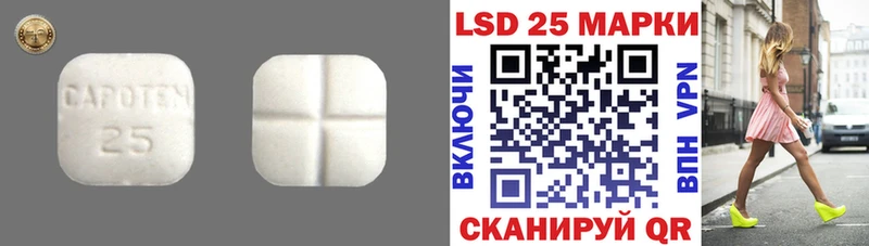 Лсд 25 экстази кислота  Приозерск 