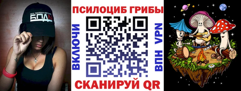 Галлюциногенные грибы Psilocybe  Приозерск 